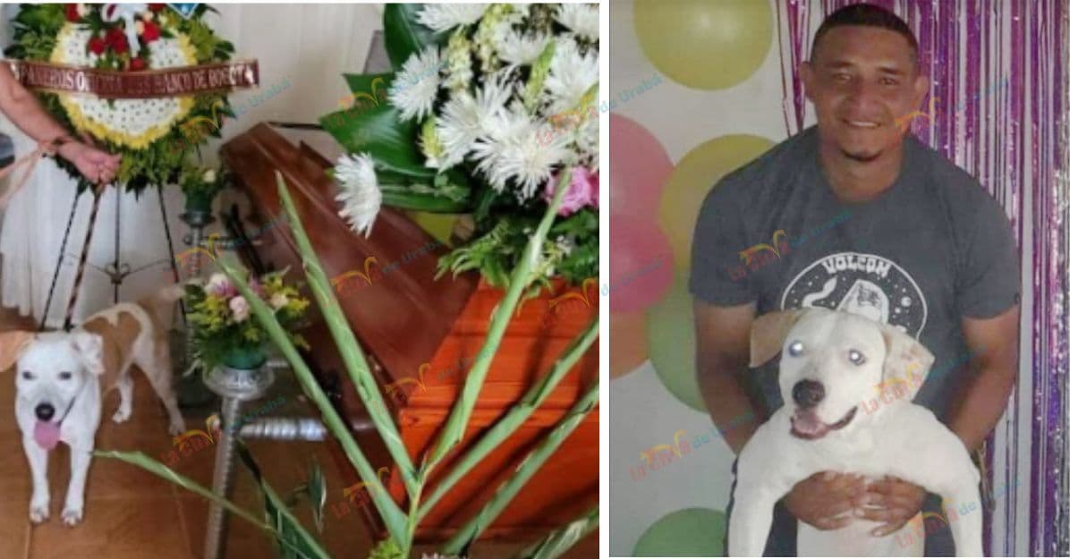 Al lado del ataúd, perro no para de llorar a su amo
