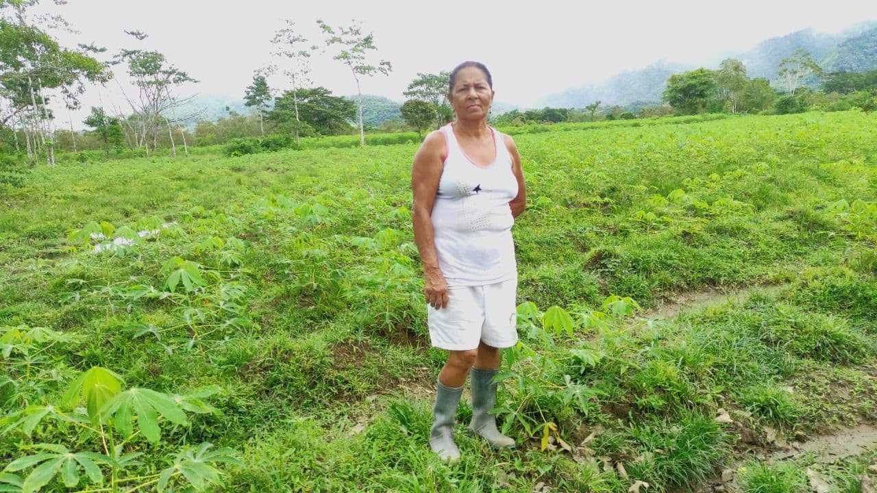 Campesina de Caucheras recuperó siete hectáreas de  tierra