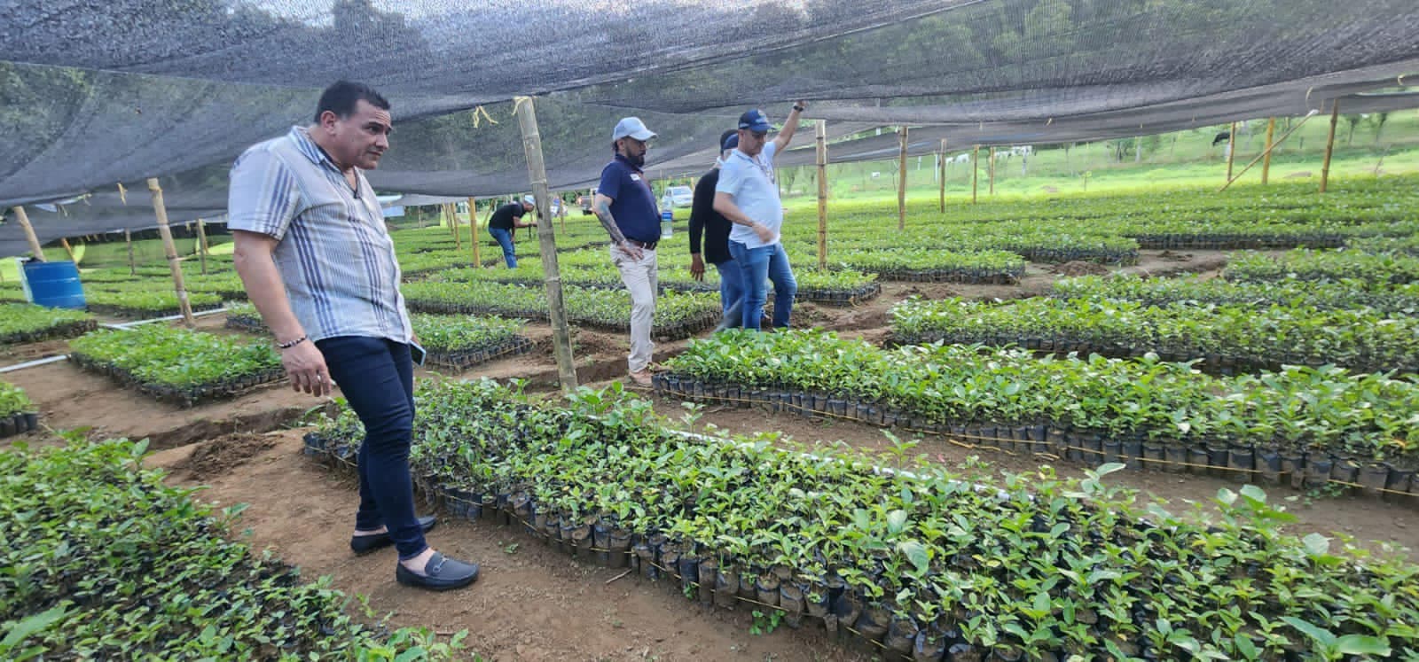 El proyecto de limón Tahití, cacao y maracuyá en Apartadó, pasó la prueba del DNP
