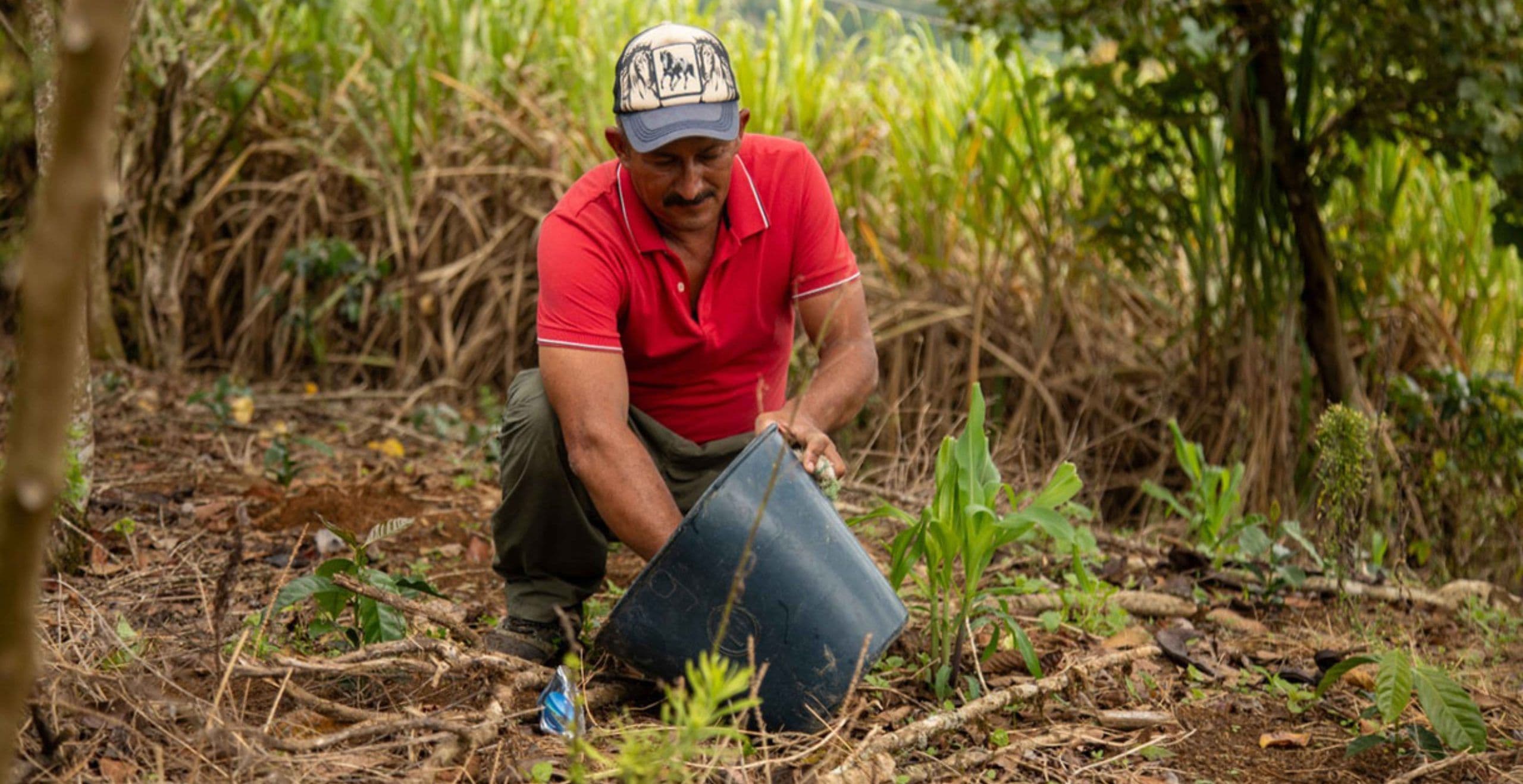 Presidente dijo que Argos entregará al campesinado las tierras conseguidas en Montes de María