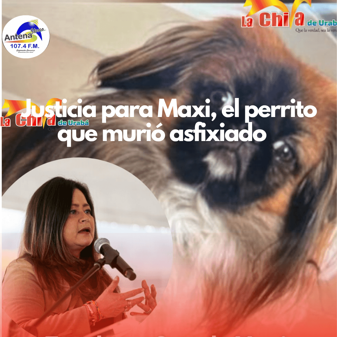 Por muerte de Maxi en bus intermunicipal, la ministra de Transporte exige investigación