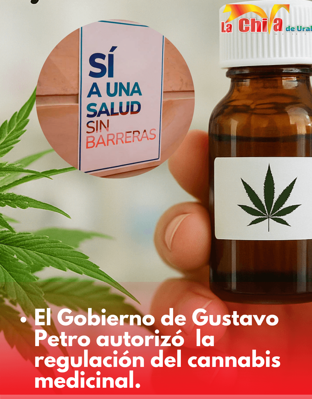 El Gobierno de Petro autorizó uso médico de la flor de cannabis