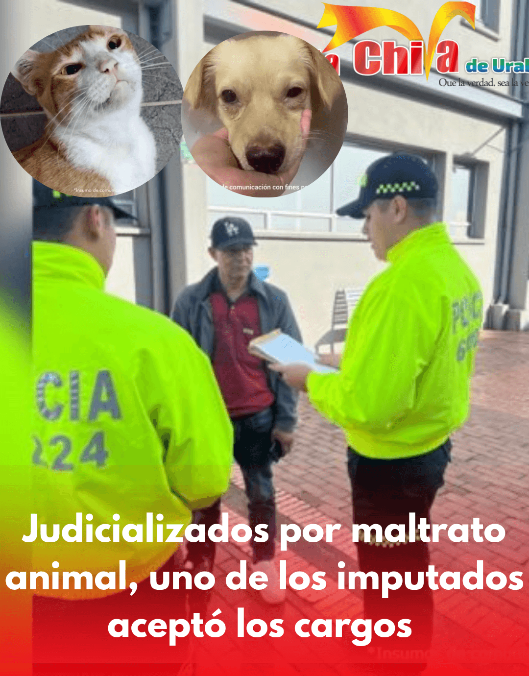 ¡Es en serio! Tres imputados por graves casos de maltrato animal