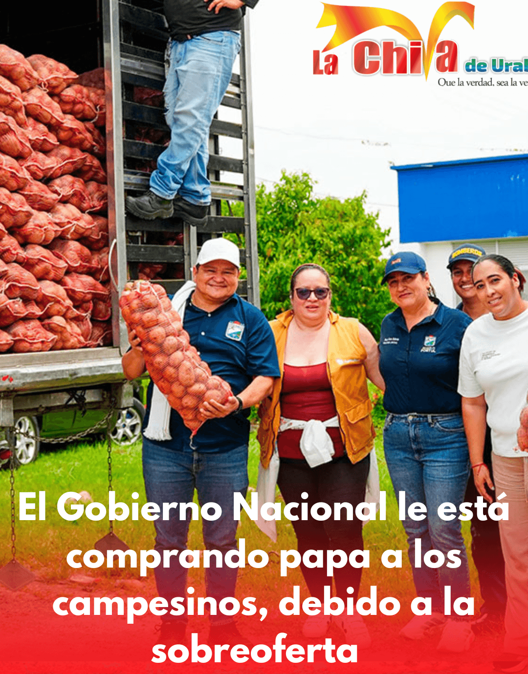 Con $14.600 millones el Gobierno comenzó a comprar papa para apoyar a los productores