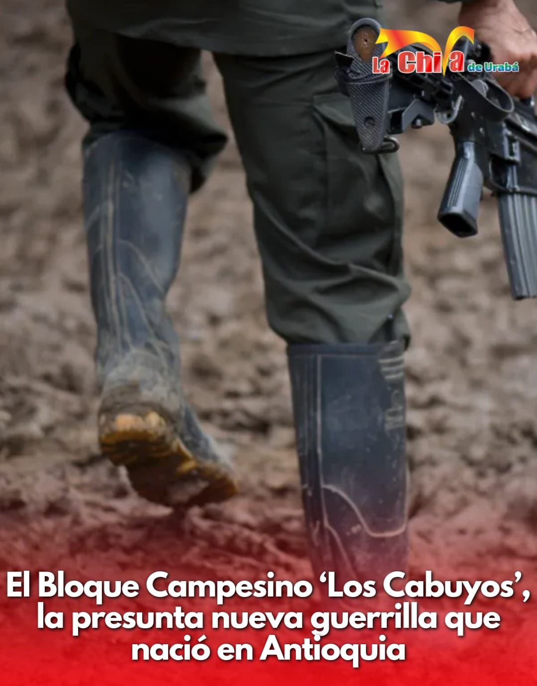 Se dividieron las disidencias, nacieron “Los Cabuyos” en Briceño, Antioquia