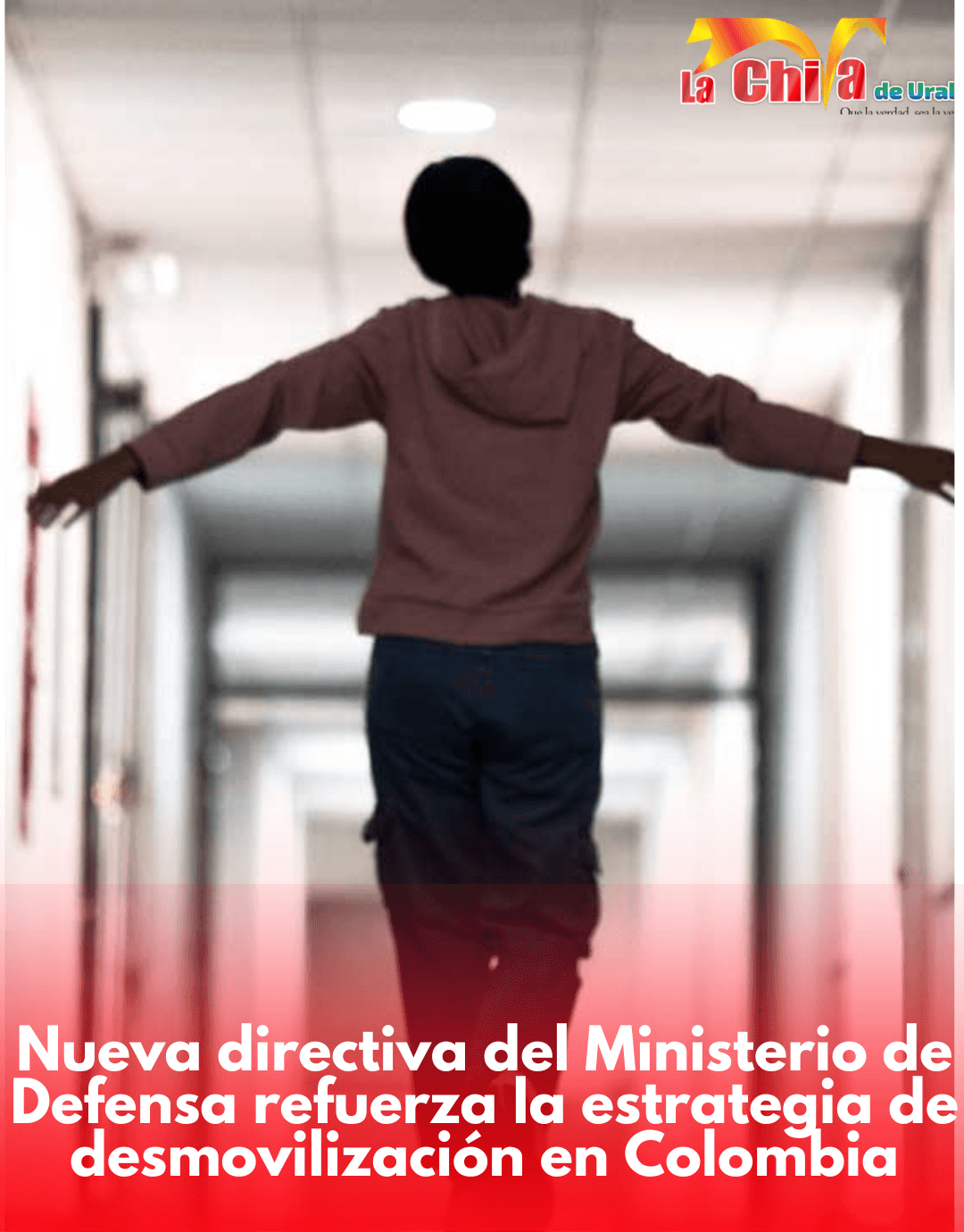 El Gobierno actualizó los incentivos para quienes dejan las armas ilegales