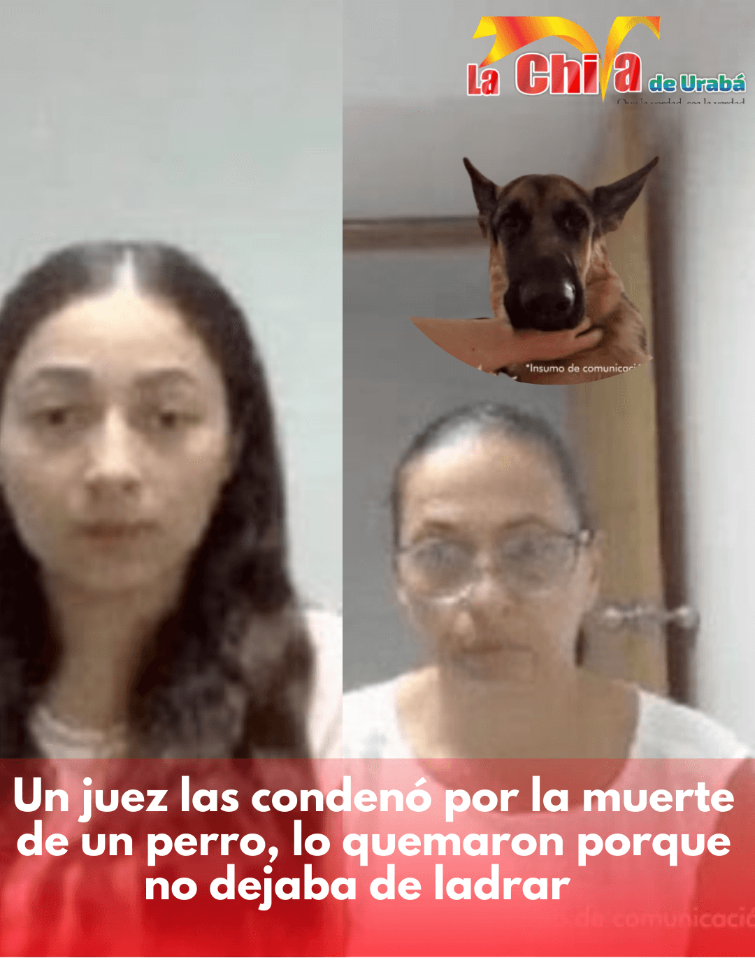 Condenadas a prisión madre e hija, causaron la  muerte de ‘Rommy’,  para que no ladrara