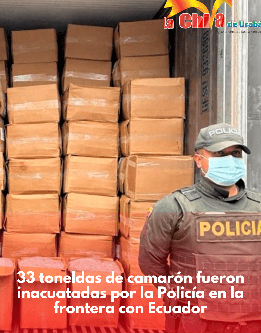Decomisaron 33 toneladas de camarón de contrabando e