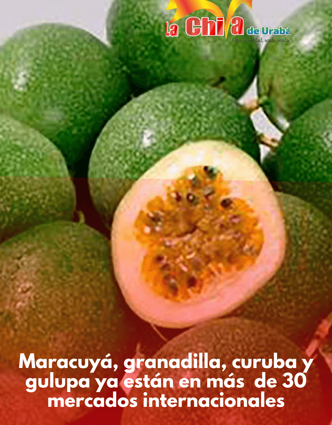 ¡Boom de las pasifloras! Maracuyá, gulupa y  granadilla conquistan 30 mercados