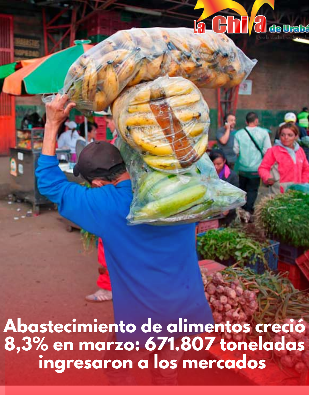 Abastecimiento de alimentos en Colombia creció 8,3%: más de 671 mil toneladas en marzo