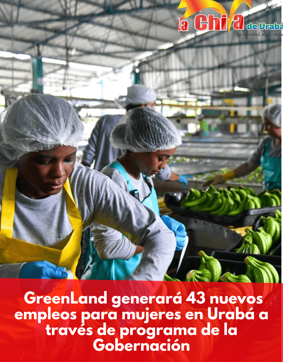 GreenLand generará 43 nuevos empleos para mujeres en Urabá