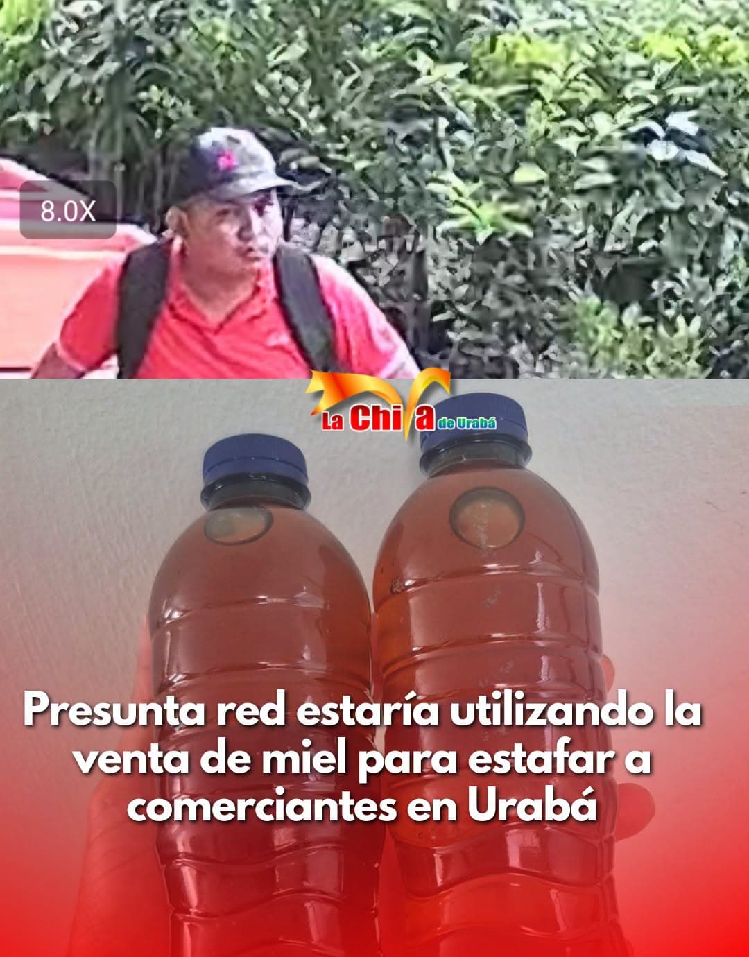 Alertan sobre modalidad de estafa con venta de miel