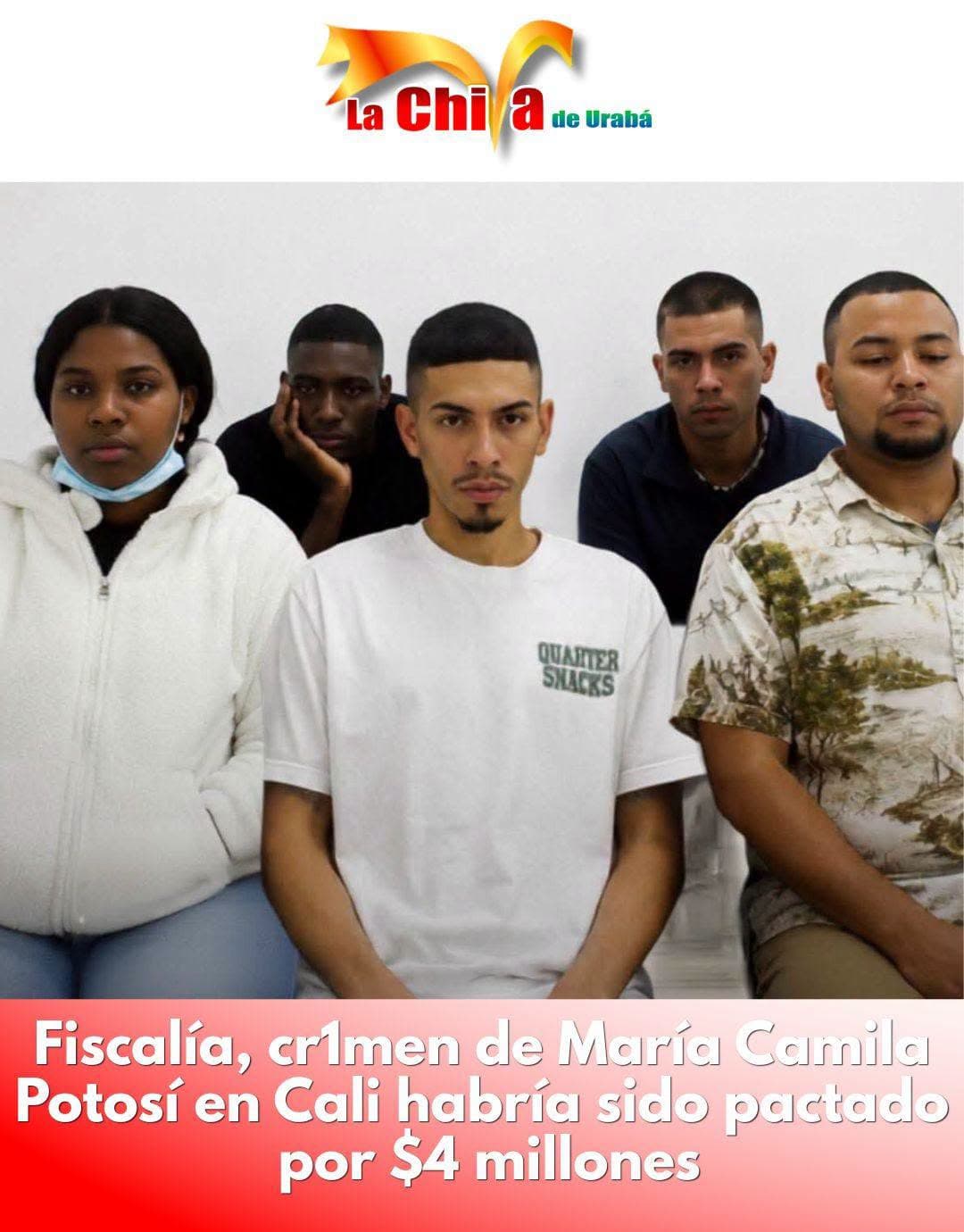 Cinco capturas por el homicidio de María Camila Potosí, la embarazada asesinada